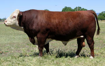TCW
Red Obsidian M326 412R